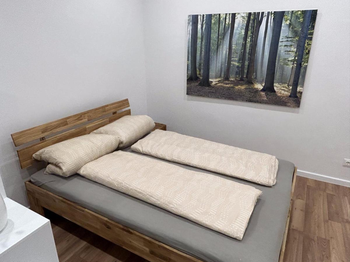 Premium Renovated Flat In Central Appartement